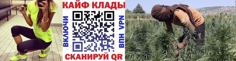 Названия наркотиков Будённовск Галлюциногенные грибы  Конопля  Cocaine  МЕФ  Гашиш 