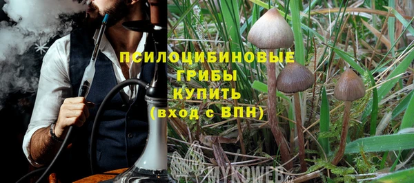 PSILOCYBIN Белоозёрский
