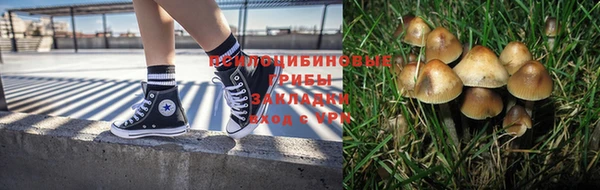 марки lsd Белокуриха