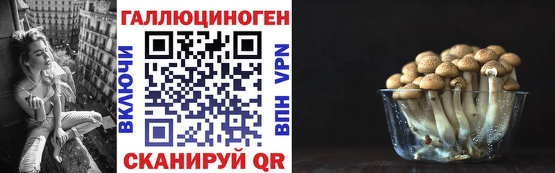 гидра сайт  Будённовск  darknet клад  Галлюциногенные грибы GOLDEN TEACHER 